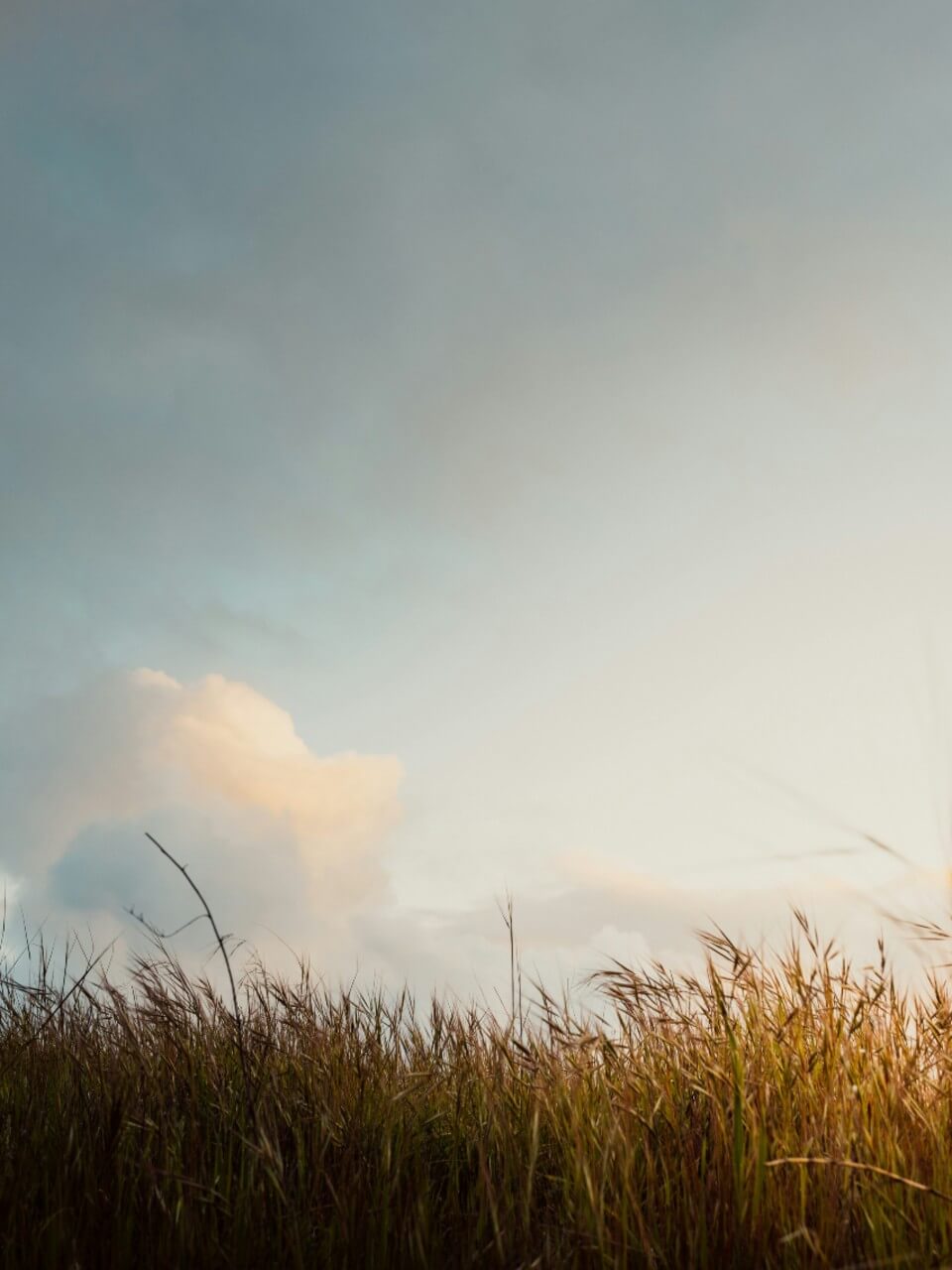 1. background image